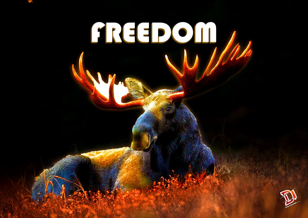 Design_Asylum_S's tweet photo. Playing with highlights... Is this our new found love? 😍 @HuionTab @nature_org @Iheartanimalss https://t.co/HRZDJWA3wR