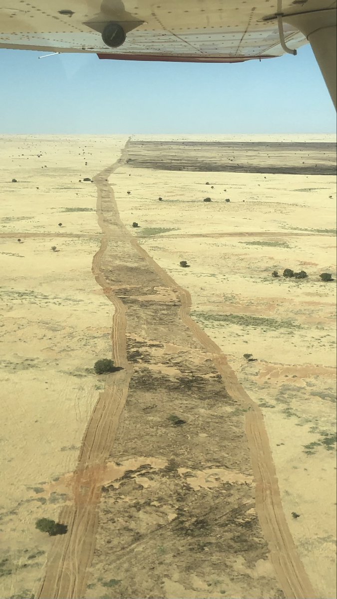 MafChad's tweet photo. Great to work with our partners @Sahara_CF again helping with a wildlife survey from their camp at Base Oryx.
Nous sommes ravis de travailler encore avec nos partenaires SCF, en participant à une enquête sur la faune sauvage depuis leur camp à la Base Oryx. https://t.co/wo6CntgWhm