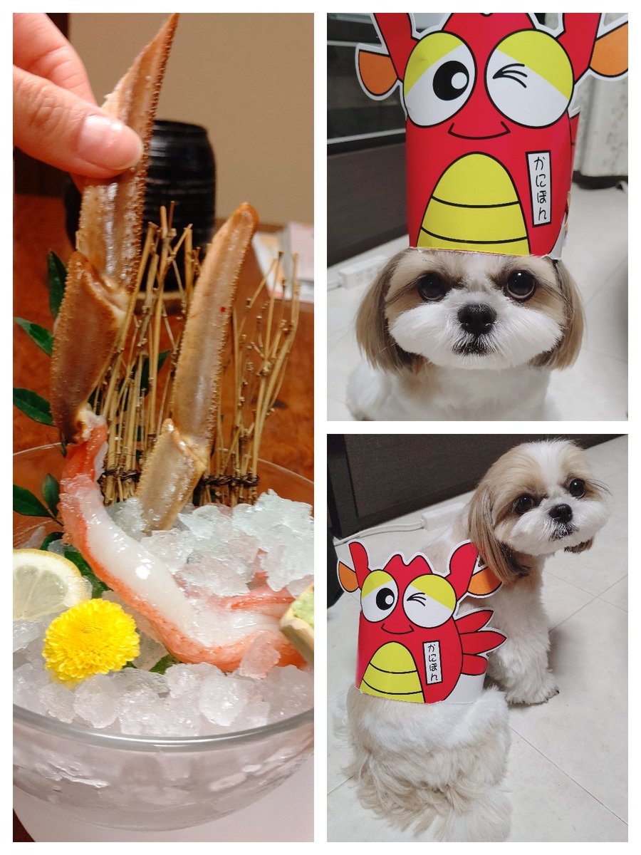 シズぼんのパパ Shizu Papabon Twitter