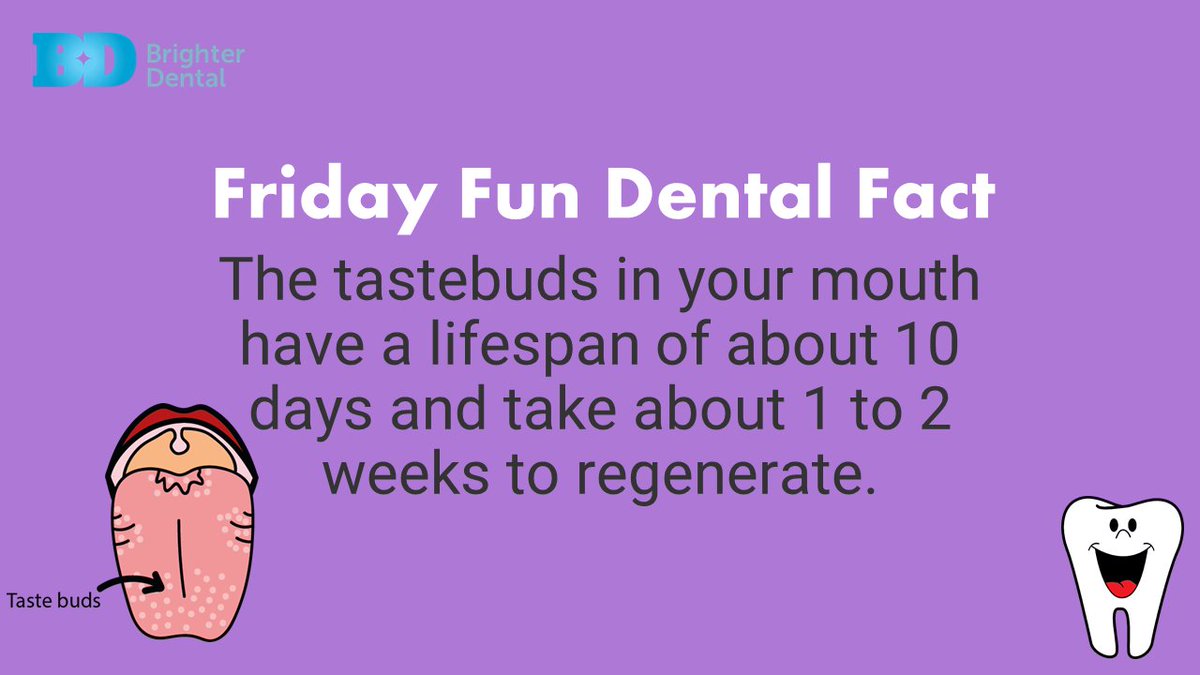 #DidYouKnow the tastebuds in your #mouth have a lifespan of about 10 days and take about 1 to 2 weeks to regenerate!
Thanks <a href="/BrighterDental_/">Brighter Dental</a> #IslesOfScilly for another great #FunFact on #FunFactFriday