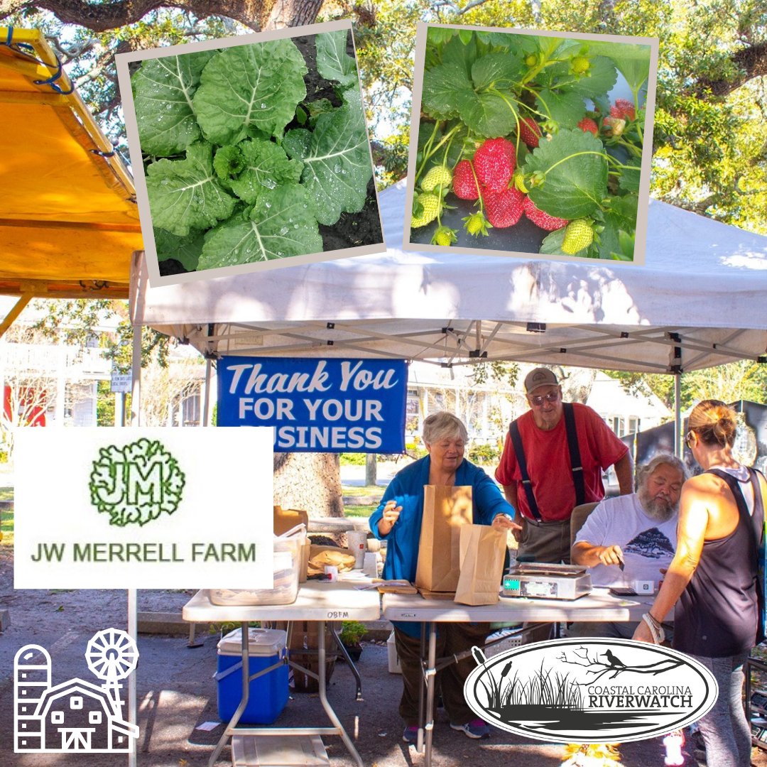 Coastal Carolina Riverwatch tweet media