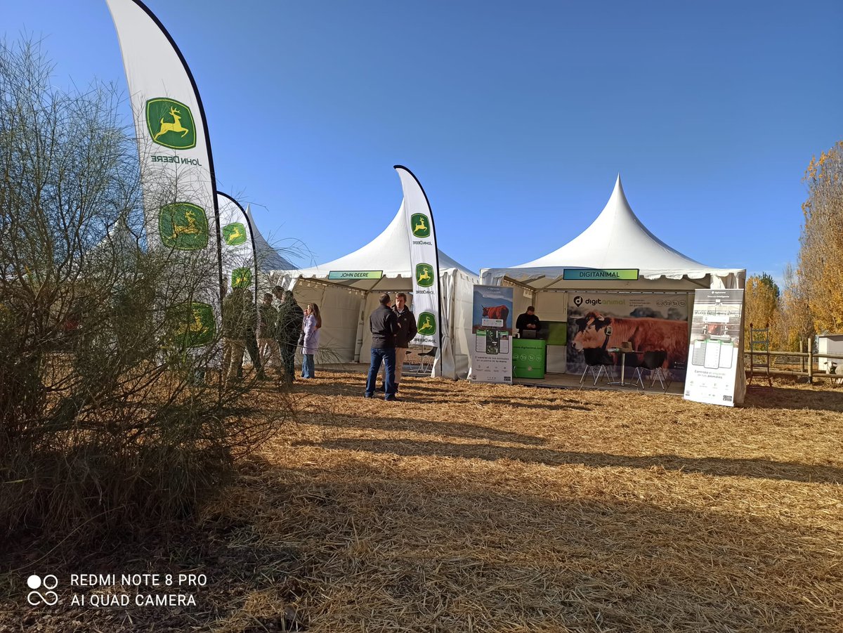 Cattlechain tweet media