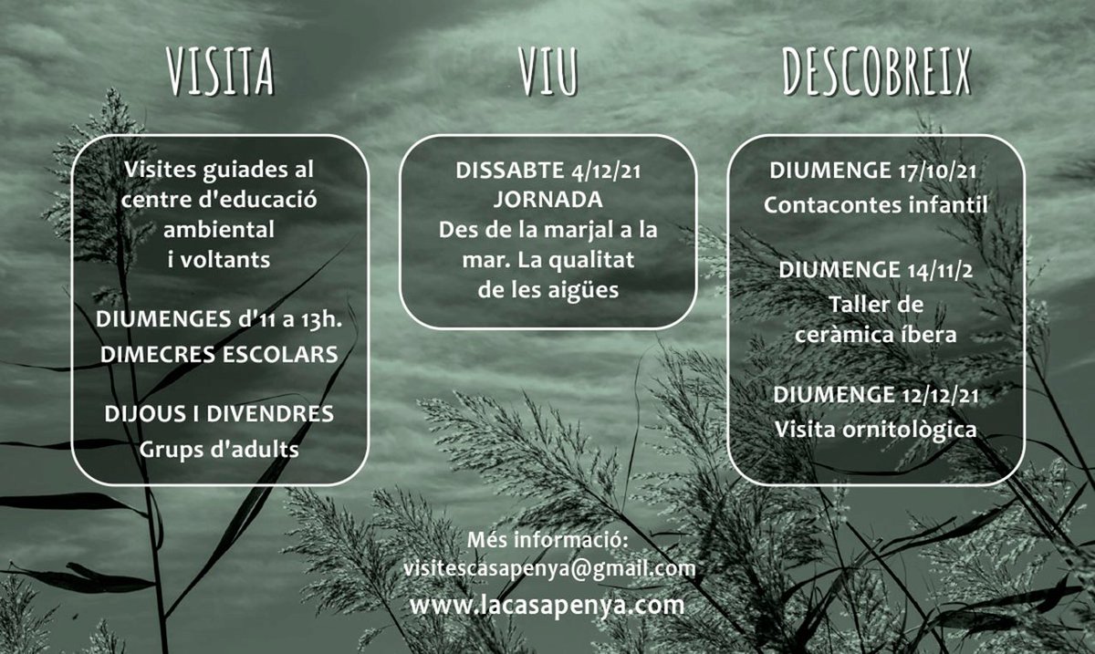 samarucdigital's tweet photo. A l'hivern continuen les activitats de naturalesa. Visita l'agenda de #samarucdigital i informa't sobre activitats, rutes, cursos i conscienciació ambiental. https://t.co/nJVNBKwSMm https://t.co/yUtdATAApj