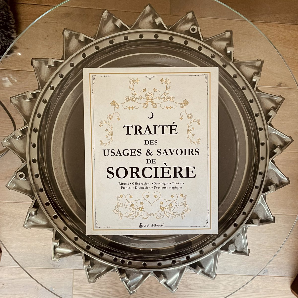 DaphDesrosiers's tweet photo. #VendrediLecture Un très bel ouvrage riche en #histoire #divinités et #Universe . À offrir de toute urgence à #noël pour un merveilleux #voyage au pays de la #magie et des #sorcières #cartes #tarot #secrets #étoiles Éditions #SecretsD’etoiles https://t.co/fhiCHvNj6v