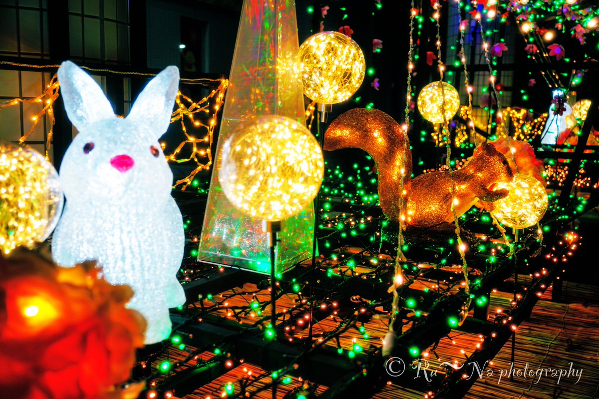ru_na1974's tweet photo. FMラジオ局イルミネーション
#夜景
#イルミネーション
#スナップ写真
#写真好きな人と繫がりたい
#写真で奏でる私の世界
#写真撮ってる人と繫がりたい
#ファインダー越しの私の世界
#ファインダーは私のキャンバス
#photography
#キリトリセカイ
#sigma1850
#α6300
#prosoftonclear https://t.co/eCes5Wi3x8