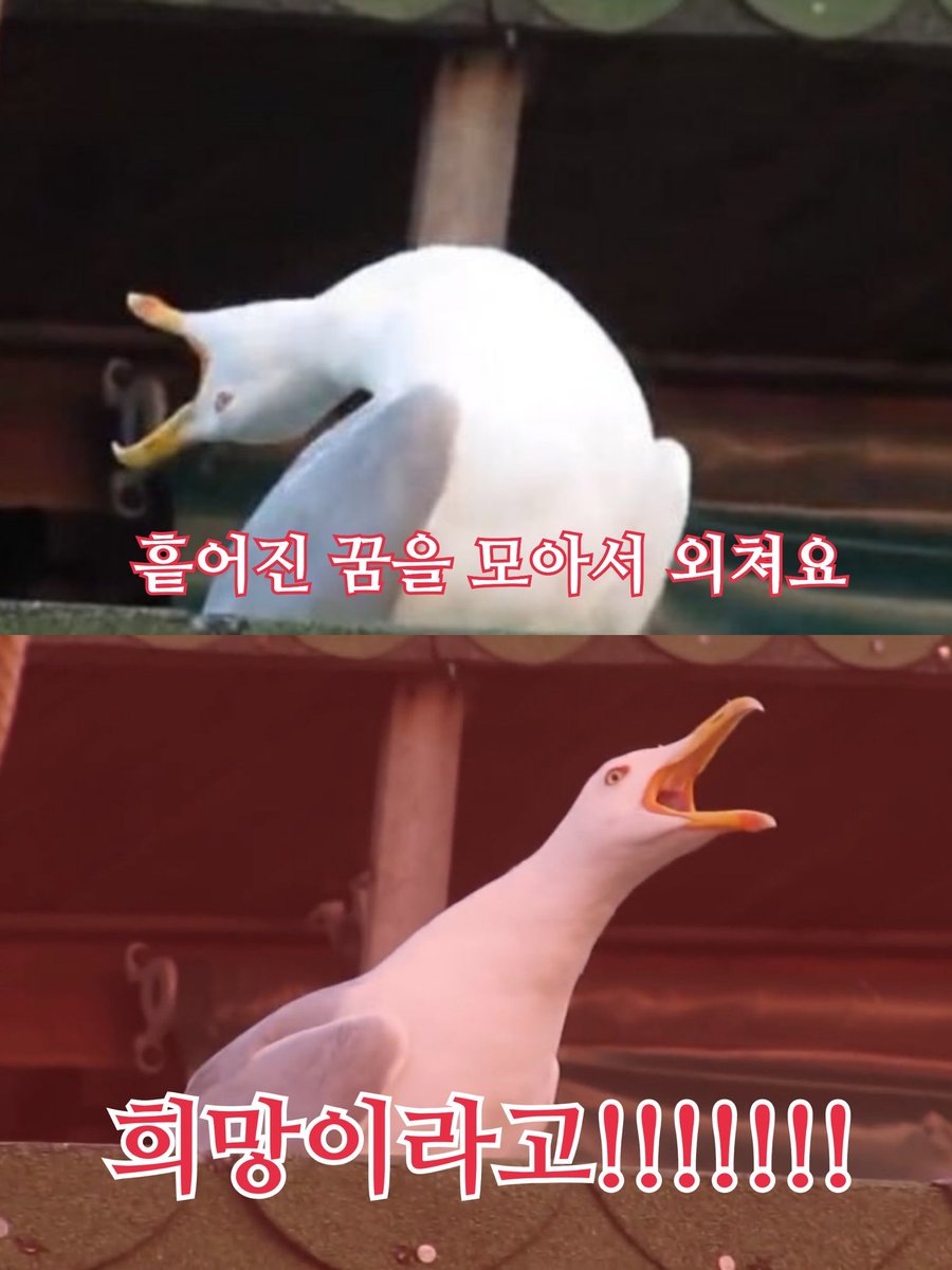 KIM_SAM_SEUNG2's tweet photo. https://t.co/MBP2wLVnPo