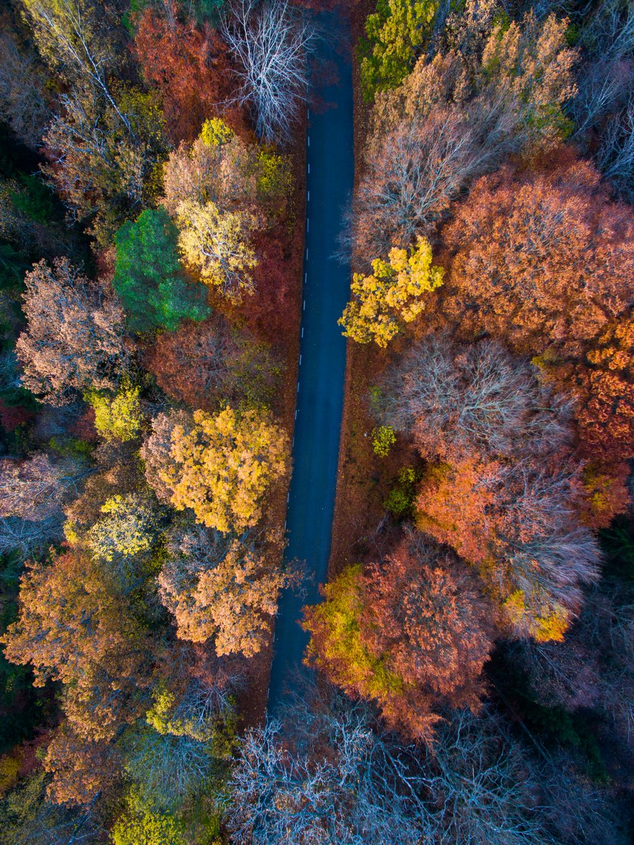 knowmetrics's tweet photo. Consulta nuestro listado de #convocatorias abiertas en Ciencias Sociales y Humanidades Digitales #CSHD 🍂🌰

https://t.co/cai0qAwBEo https://t.co/zdQ8Utr7Ba