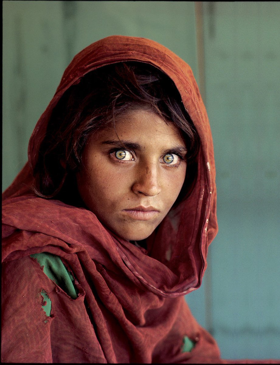 OnChainMonkey's tweet image. Sharbat Gula and her family were evacuated from Afghanistan to Italy! @OnChainMonkey  and @metagoodnft with @McCurryStudios, Bonnie McCurry, @F_Brilliance helped make this happen. Another example of our crypto community doing real world good! businesswire.com/news/home/2021…