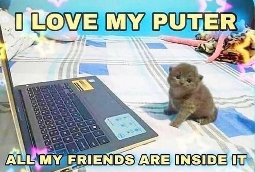 WholesomeMeme's tweet photo. https://t.co/H0n7gIjwkN