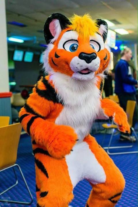 lipsylvest's tweet photo. My next fursuit - what do we think? #furry #fursuit #furryfursuit #furryweek #furrymania #tiger #love https://t.co/8llwsWL36u