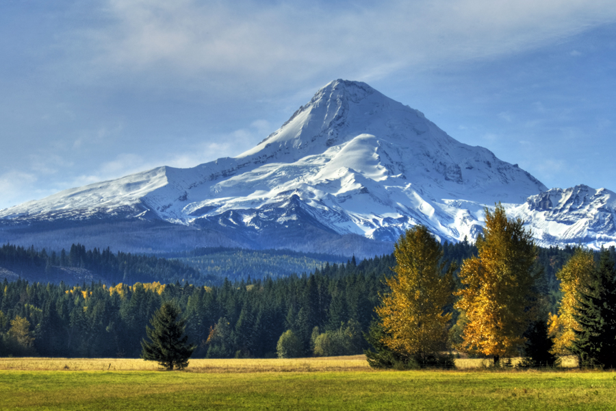 ForestServiceNW's tweet photo. "Joy in looking &amp; comprehending is nature's most beautiful gift." 

--Albert Einstein

#BlackFriday #OptOutside https://t.co/wa3aTNRfFO