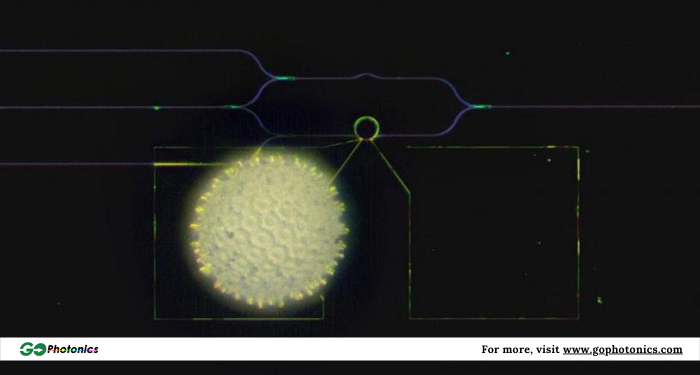 PCB_Directory's tweet photo. Researchers Develop Low-Loss Device that Modulates Light Without Dimming
Read More https://t.co/CwQePgiKJI
@Columbia #research #researcher #development #low #loss #devices #modulates #light #photonics #INDUSTRY #NEWS https://t.co/XiD6Pn0TeW