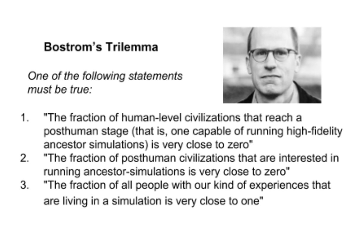 Imustnotf3ar's tweet photo. @engineers_feed Nick Bostrom has spent a lot of time on this dilemma. His logic seems undeniable IMO. https://t.co/CPpFfRpPCS