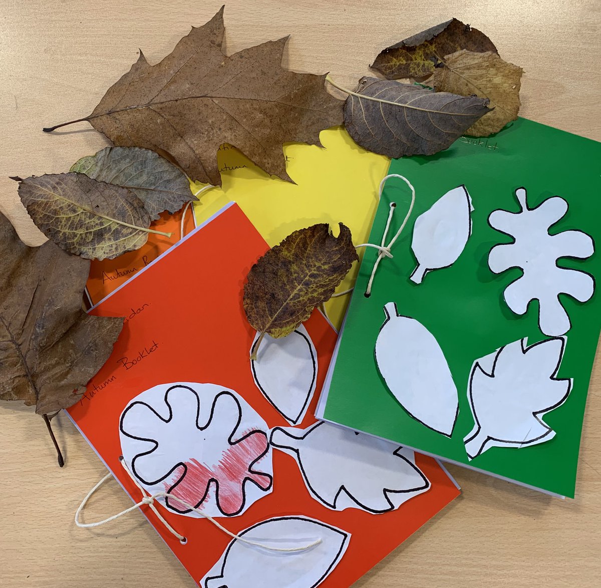 whsforestschool's tweet photo. Today was a bit wet &amp; cold for our KS4 students so we had a craft session indoors. We looked at the autumn leaves and managed some leaf rubbings using foil and then with oil crayons. Making their own Autumn Booklet 🍃🍁🍂 #leafrubbing #craftsessions @whigh_skills @wilmslowhigh https://t.co/w7zVuxrOeW