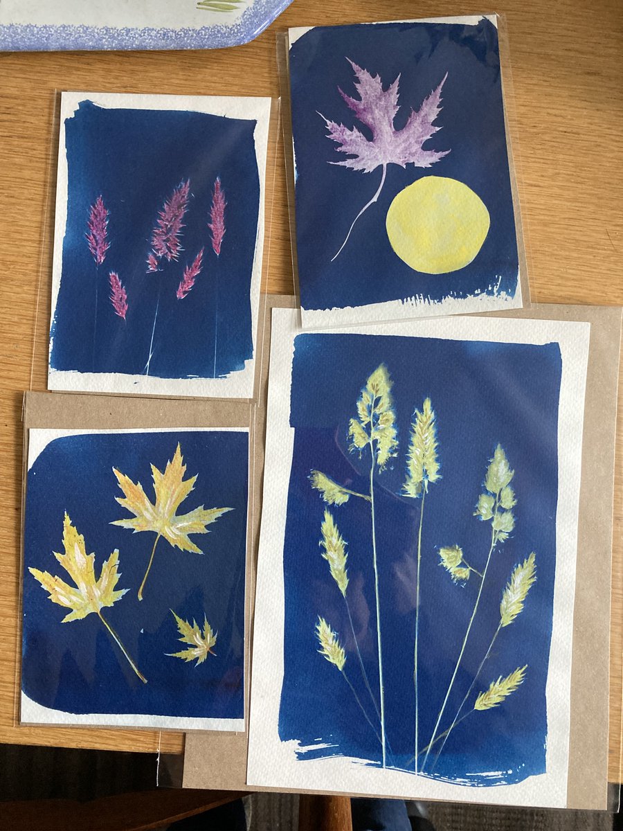 secretartistNW5's tweet photo. Printing cyanotypes is such fun. Here are a few of my recent efforts. All unique prints, some hand-coloured. #cyanotypeprinting #sunprints #PRINTING https://t.co/iSnM2OB3Zo