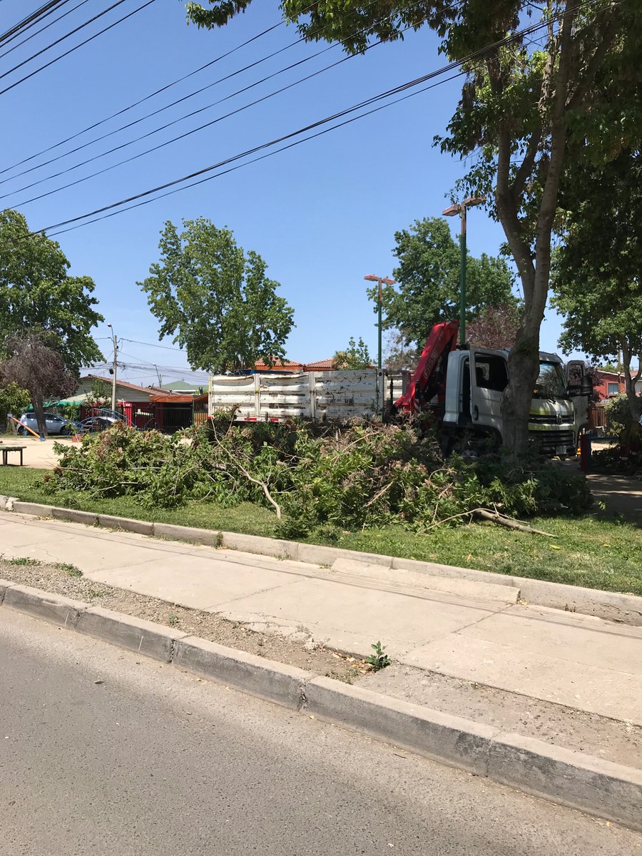 gioviluna's tweet photo. Increpo nuevamente a @TomasVodanovic @Muni_Maipu para que se hagan cargo de la irresponsable tala de árboles 🌳en plaza del consultorio Ivan Insulza en Villa Los Rosales. Sin consulta a los vecinos además https://t.co/Zn8Yv5b1pg