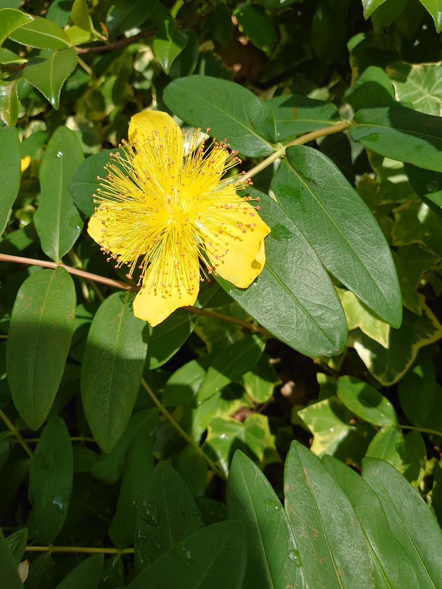 11月27日💚土曜日
上尾市3時現在気温8度☀
おはようございます
昨日は昼寝をしたのに
夕飯食べたら眠くなり
9時に横になってしまいました。寝る時窓から星空が
とてもきれいでした
今日は午後から北西の風が
強くなり木枯らしが吹き
寒い一日になりそうです
今日は仕事です
【昔の写真から】