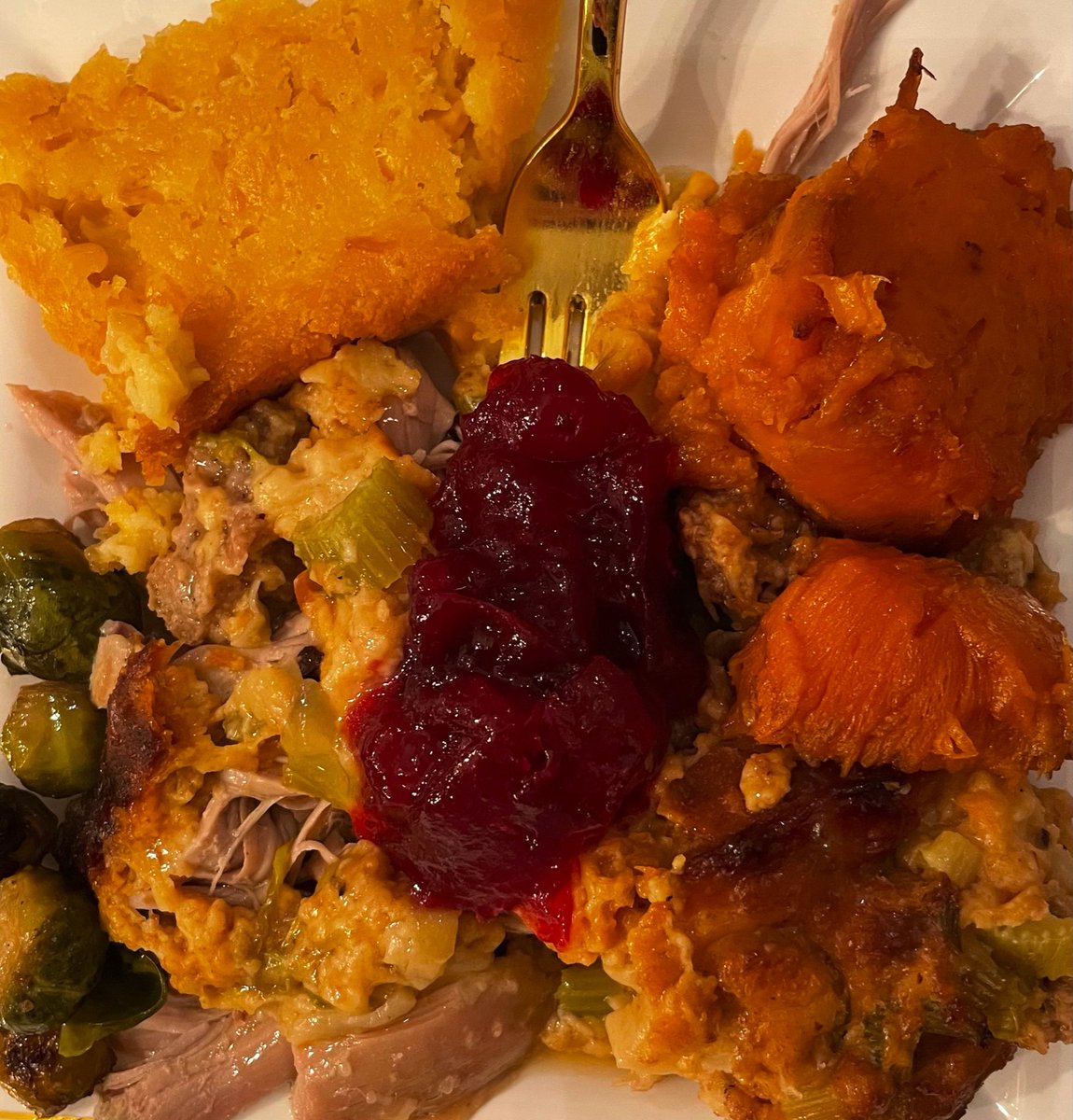 danibrooke_'s tweet photo. My thanksgiving plate @ANTHFood #ANTHfood https://t.co/CixI99I02k