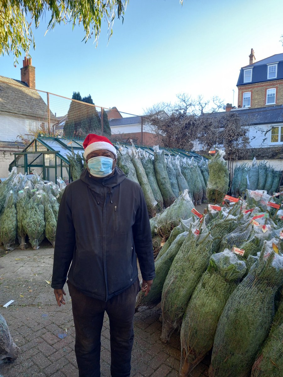 MillLaneGarden's tweet photo. 1/3 We're excited to announce that Christmas sales at Mill Lane are officially open.  

We’ll be open 7 days a week for trees, wreaths and much more. You can also find us online for click &amp; collect and local deliveries:  https://t.co/ArkKs8lwXd https://t.co/3bvmZpq5ci