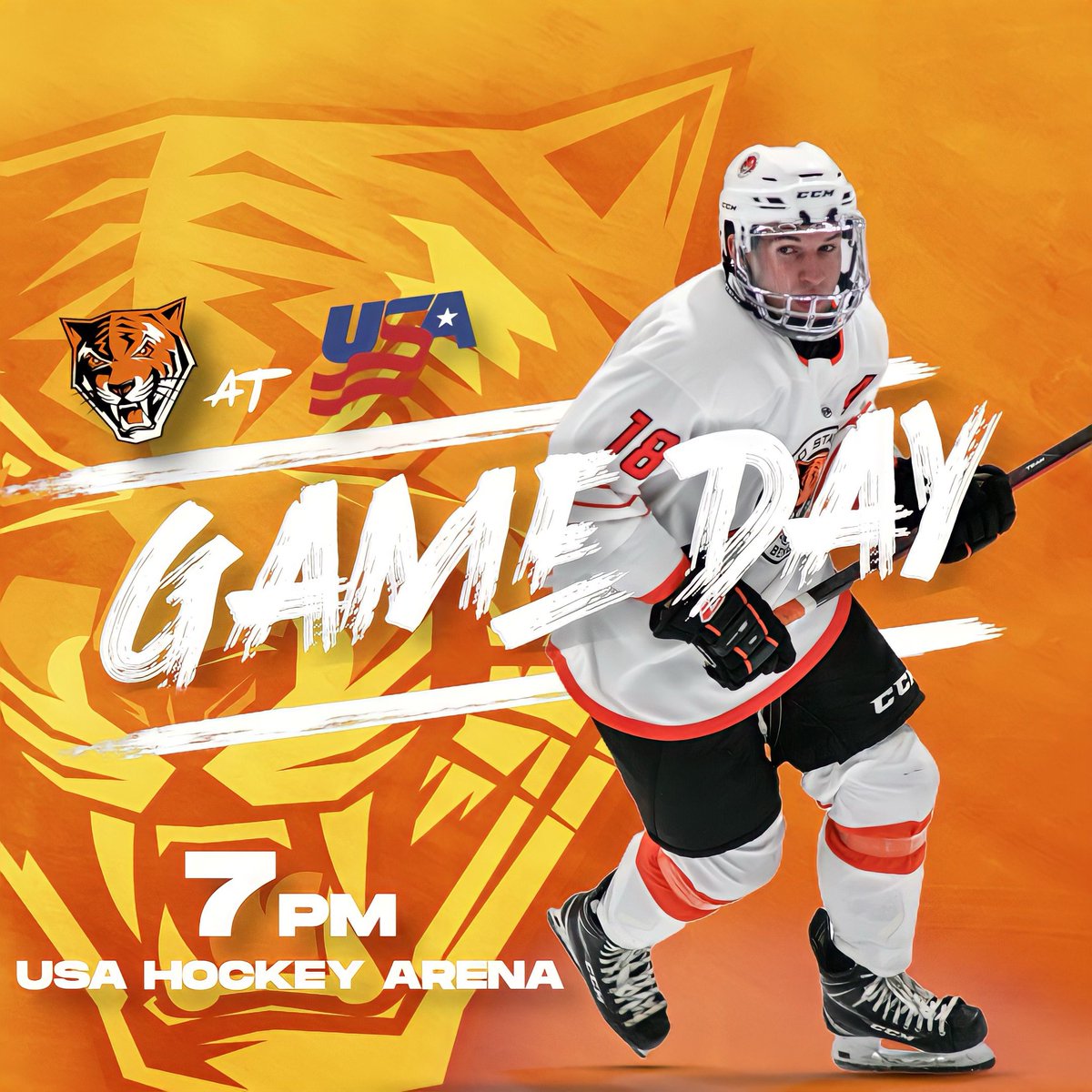 Tonight the Bengals take on the US National Under 18 Team in Michigan! 

Puck drop at 7 pm