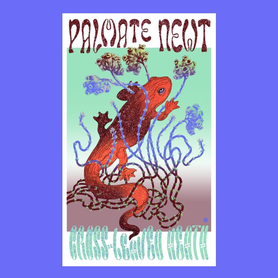 schulze_art's tweet photo. Palmate Newt und Cross-Leaved Heath can be found in the Scottish North (The Flow Country) https://t.co/x5AsPWcRTi