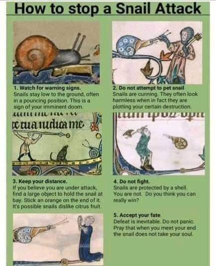 CrownDuels's tweet photo. #medieval #snailjousting https://t.co/8kb46SyW3n