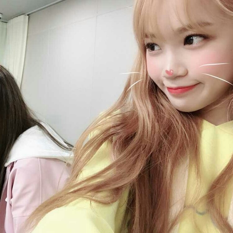 hourchaewon's tweet photo. — #CHAEWON #김채원 https://t.co/zwSRC5xgBX