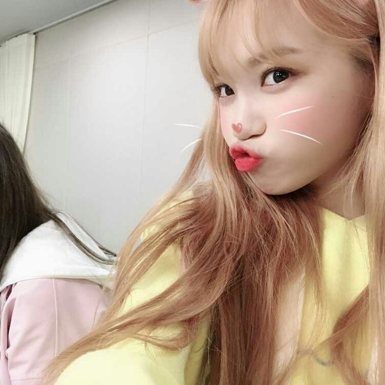 hourchaewon's tweet photo. — #CHAEWON #김채원 https://t.co/zwSRC5xgBX