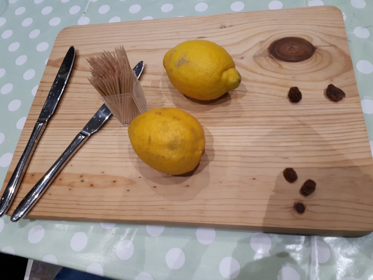 JemLeo2's tweet photo. #lemonmouse see one, do one, teach one. Well done Jem, after bringing us home a mouldy lemon mouse you showed us how to make our own! https://t.co/JzbvUMbr9N