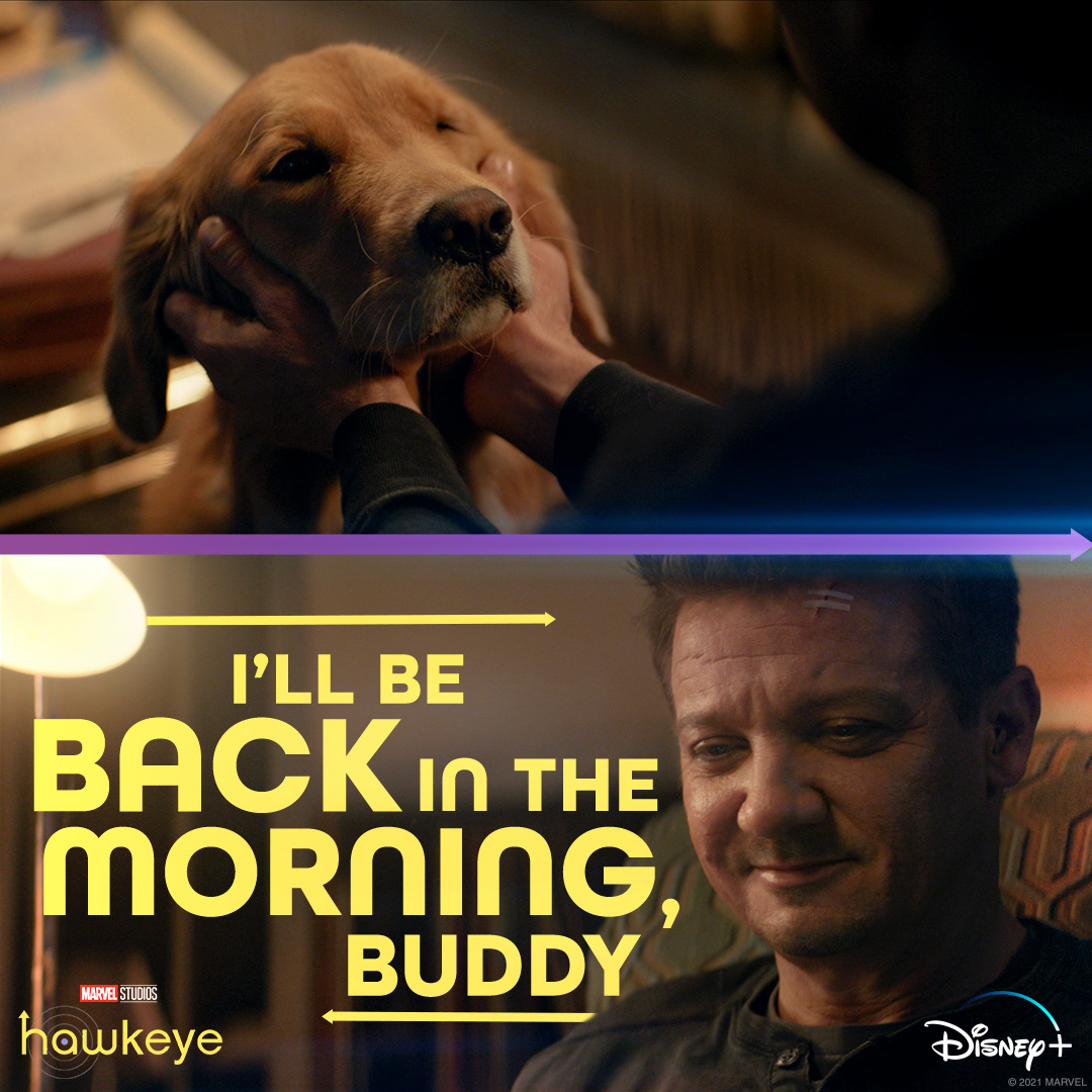 A good reason to come home. 🐕 Marvel Studios’ <a href="/HawkeyeOfficial/">Hawkeye</a> is streaming now on <a href="/DisneyPlus/">Disney+</a>.