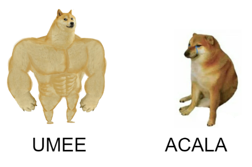 giuseppe sama tweet media