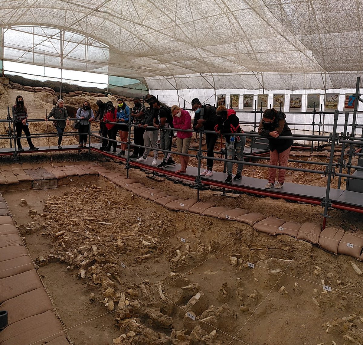 Looking 5 million years into the past, megafauna fossil beds at <a href="/WestCoastFossil/">The West Coast Fossil Park</a>. Getting THE Pippa Haarhoff walking us through the quarry sites
#geoschool2021 #train_me #teamsa #fossils #youngscientists   #westcoastfossilpark #miocenefossils #earlypliocene #learnandexplore