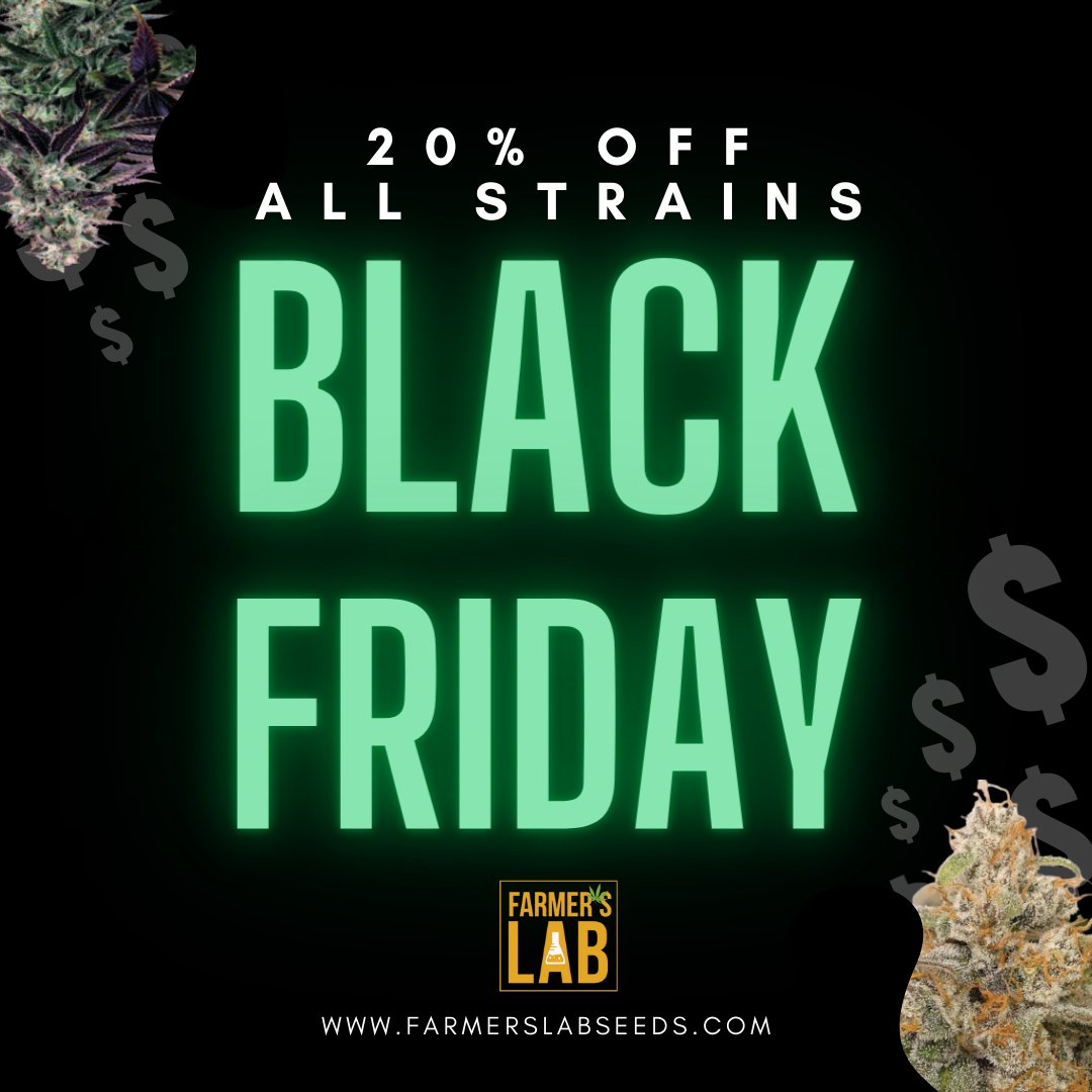 FarmersLabHQ's tweet photo. ITS BLACK FRIDAY - Enjoy 20% OFF on all strains!

https://t.co/y8CZiYqyry https://t.co/IkgcnFD0Wu