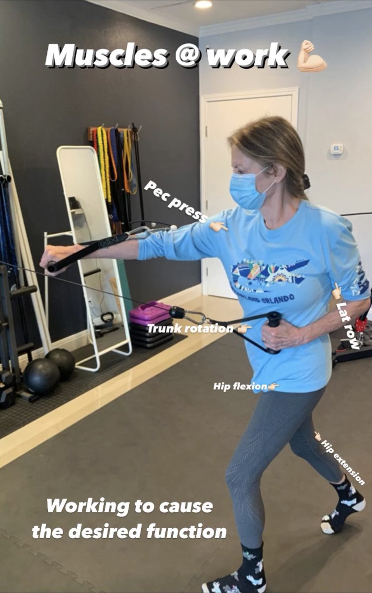 SAFunctionalFit's tweet image. Work your muscles the way they naturally work 🏃🏻‍♀️ #humanfunction