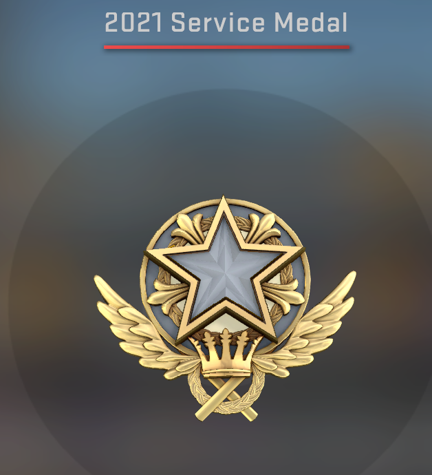 TrainCS_'s tweet photo. Relatively new to CS and just got my first Service Medal. #CSGO https://t.co/ebWK39EsSQ