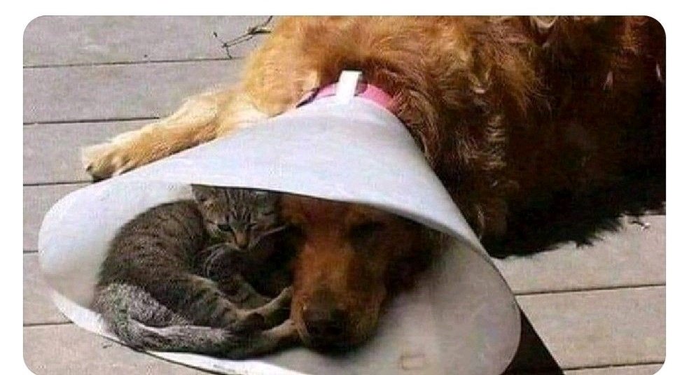 teachergoals's tweet photo. When someone is going through a rough time, just sit with them. 

No preaching, no advice, just be there. https://t.co/LhYqcSZIpv