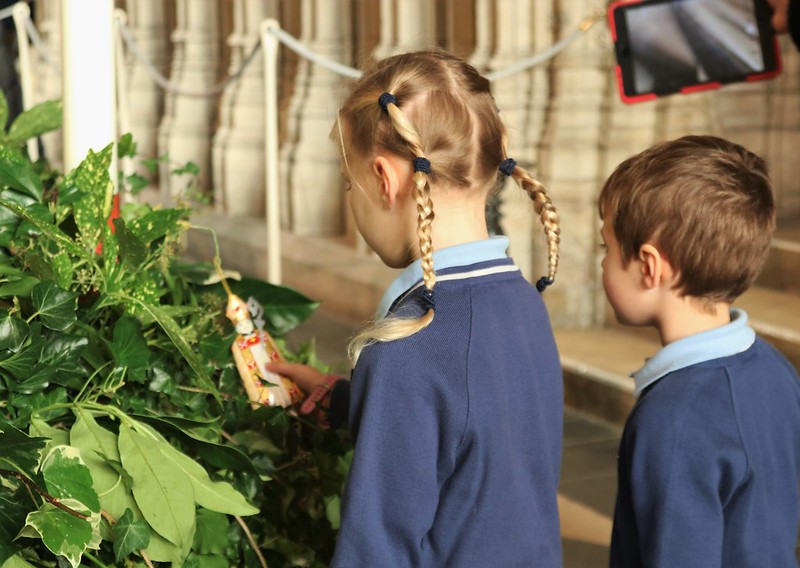St Peter's School, York tweet media