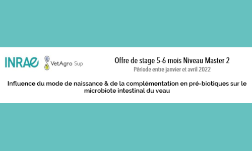 Anaïs Bompard, Chargée de Recherche à 
<a href="/UMR_EPIA/">UMR EPIA</a> vous propose un stage de niveau MASTER 2 : Influence du mode de naissance &amp; de la complémentation en pré-biotiques sur le microbiote🐮🦠www6.clermont.inrae.fr/epia/Zoom-sur/…