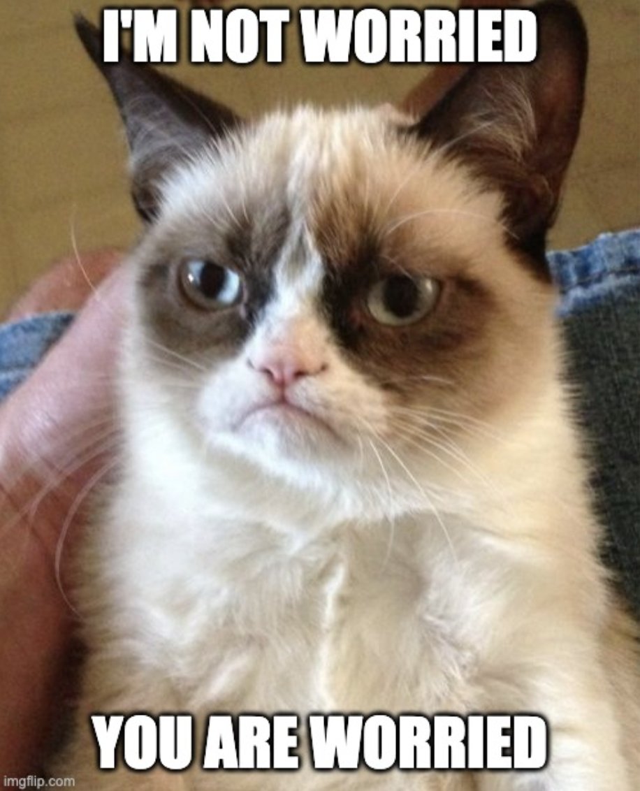 KatkaMrv's tweet photo. When somebody says 'No worries'.

#CatsOfTwitter #GrumpyCat https://t.co/GLSV96CzR2