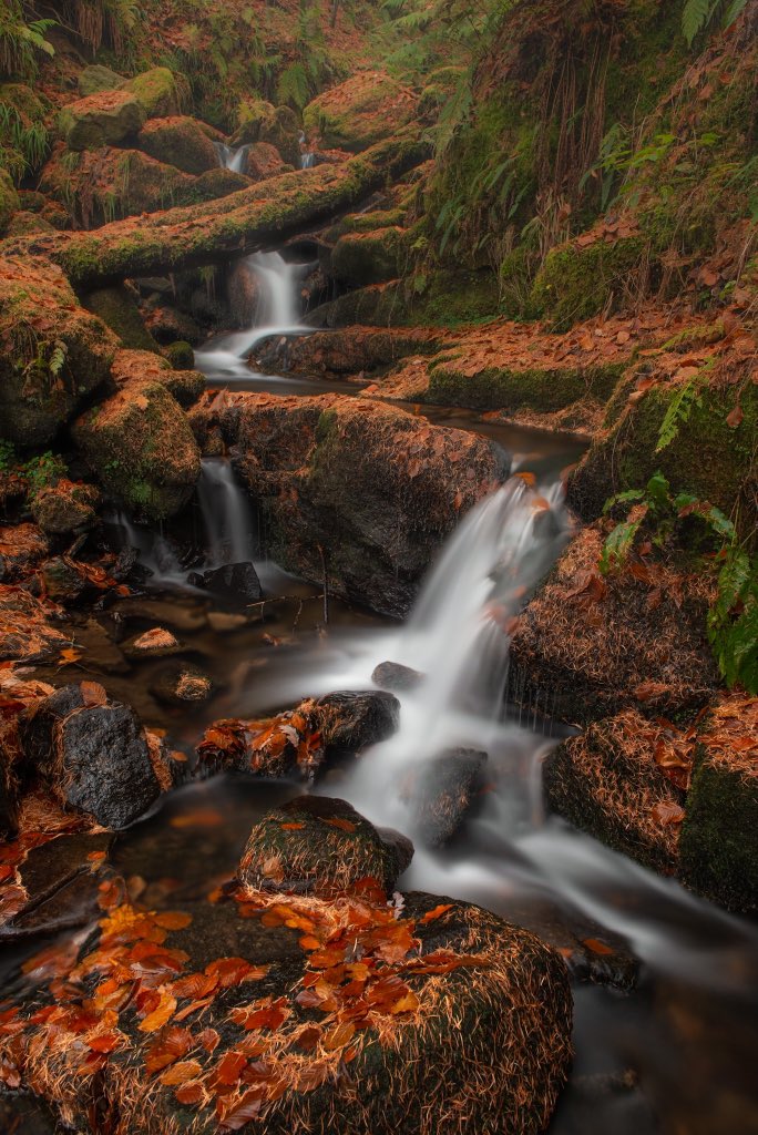 Enjoy your weekend folks, here’s a shot from Hardcastle Crags last week