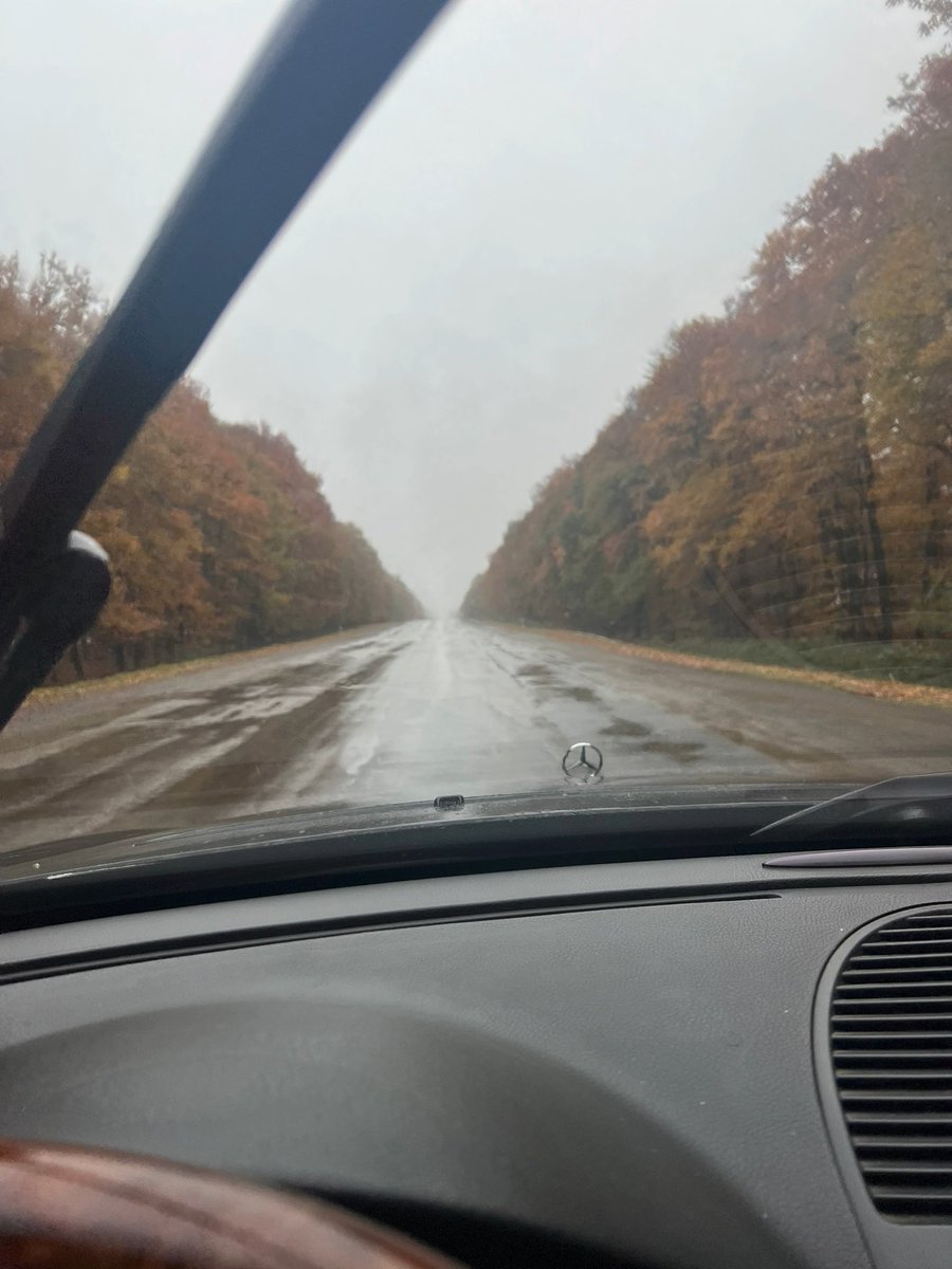 Bu agacalar hacan saraldi😮