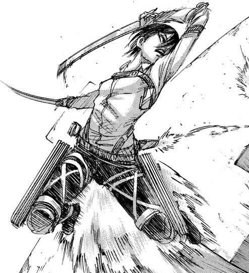 mikasa gallery tweet media