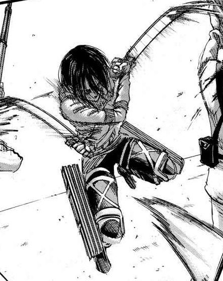 mikasa gallery tweet media