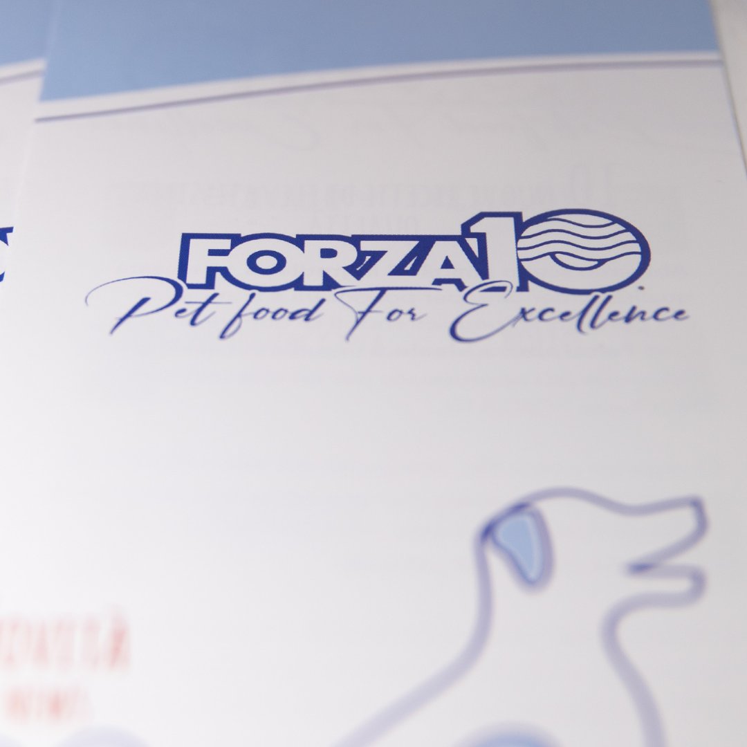 Forza10 tweet media