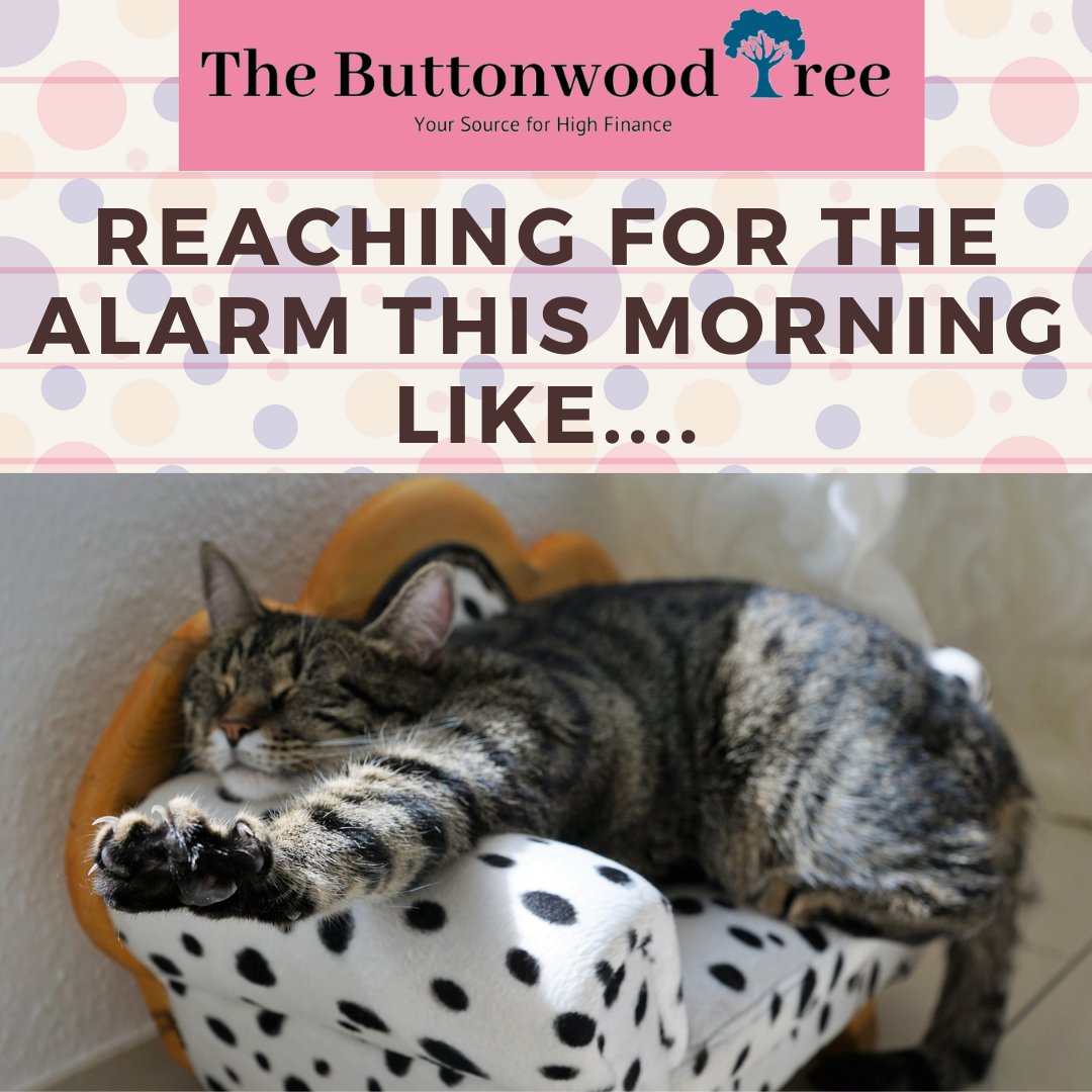 TBTFinance's tweet photo. Ending the work week with some morning comedy!
Does this represent you? Comment below with a (emoji) if this is you too!
#HumorFriday #WorkWeek #Humor #Meme #Cats #Pets #TBT #ButtonwoodTree #Journalism #SocialMedia https://t.co/oN7wnxWuFx