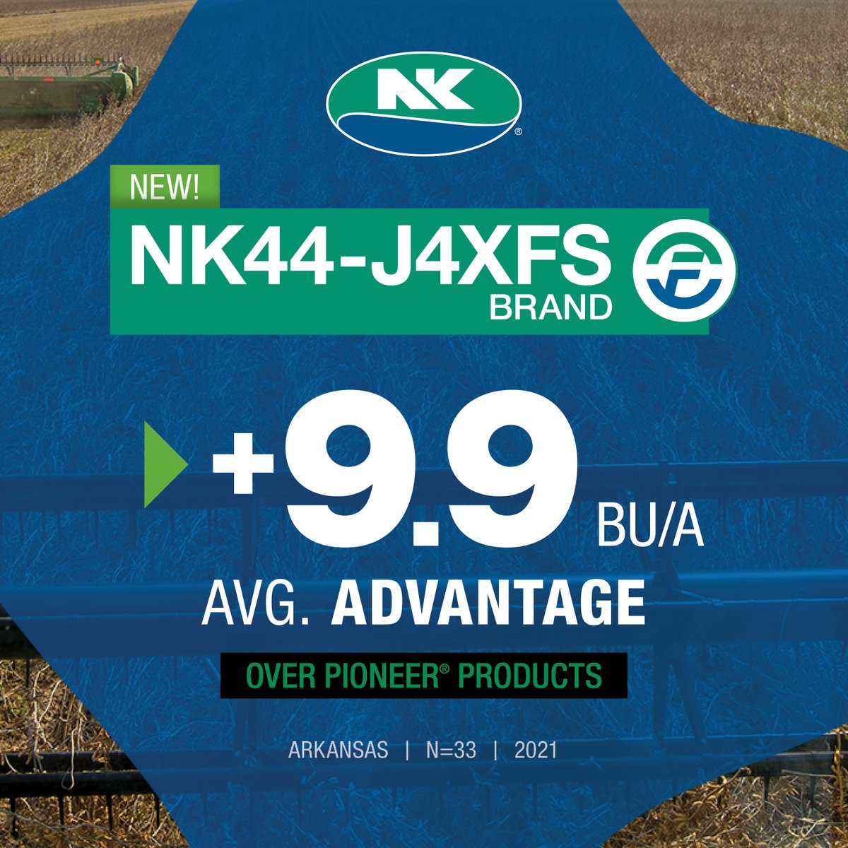 NK Seeds tweet media