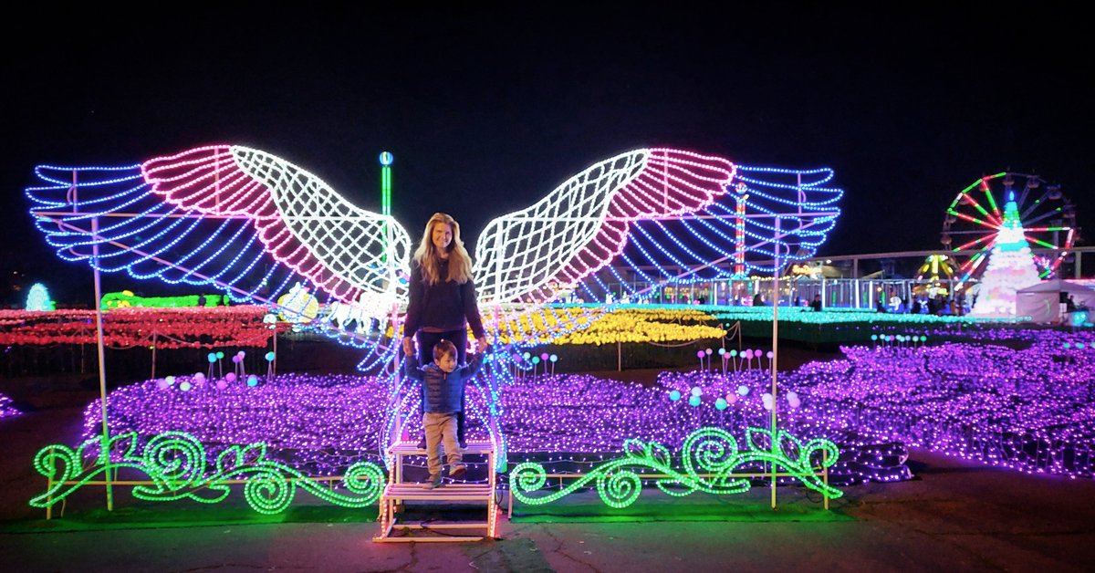 danes13's tweet photo. Finding the #Magic of the Season early w/ this lil Guy #GlobalWinterWonderland #CalExpo #Imaginarium #FestivalOfLights #Enchanting #Lights #Dream #CaliforniaDreaming #November #2021 #ImaginariumFestivalOfLights #Angel #Wings #EndlessWonder https://t.co/ekJkvHa3ae