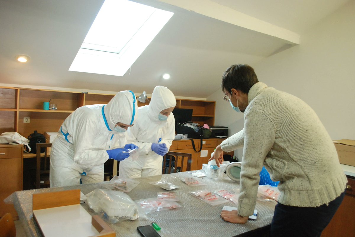 ProjetoSAND's tweet photo. #dentalcalculus#SANDprojet#SarilhosGrandes https://t.co/JSL0VCEwb9