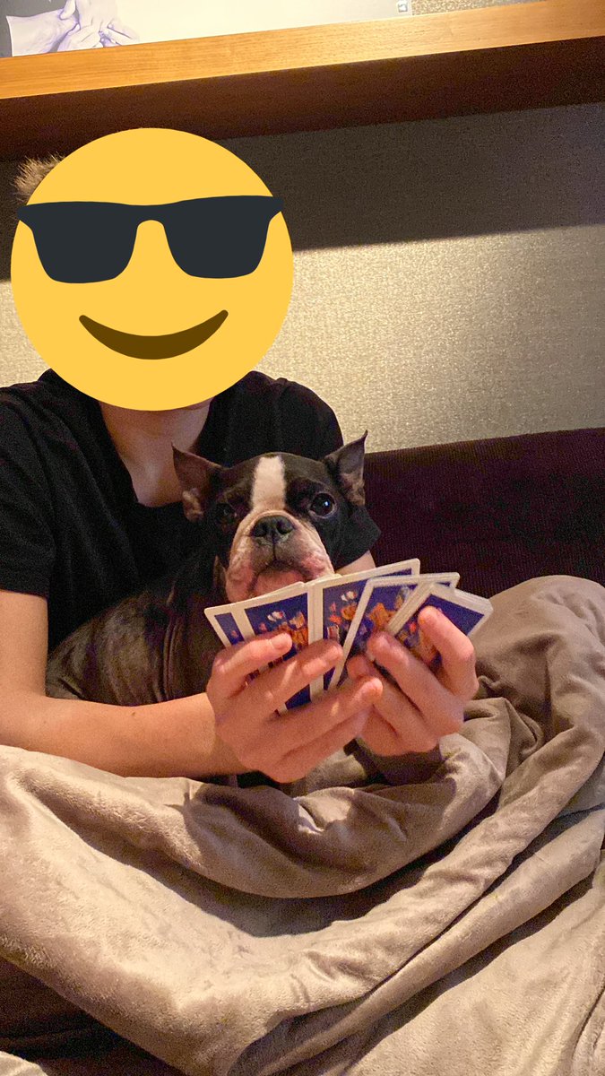 maisamet1's tweet photo. Playing cards against the dog or the little brother? Some aivojumppaa as you woud say in Finnish😁 #MetropoliaBiz https://t.co/JSBoCLKH2u