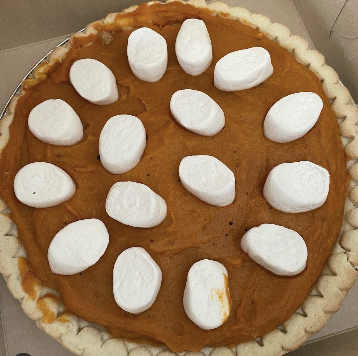 Vegan sweet potato pie. #GoVegan #veganfortheanimals